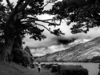 Kylemore Abbey